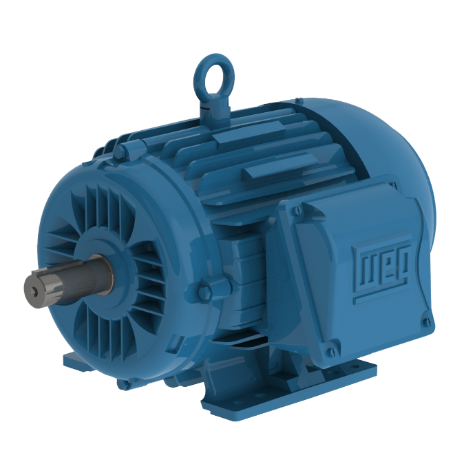Moteur asynchrone triphasé WEG W22